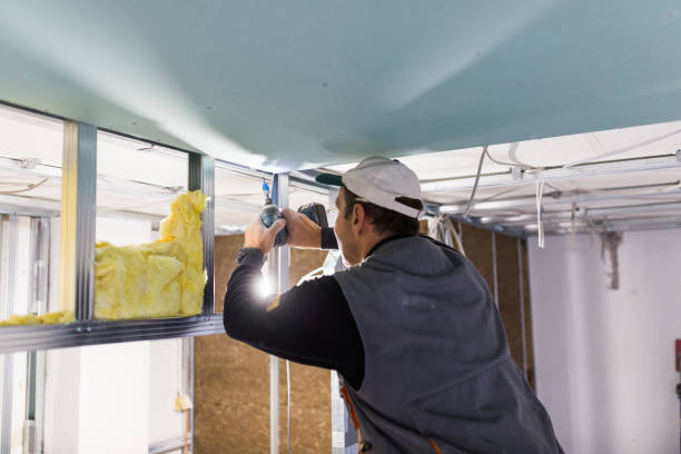 Best Specialized Insulation Services in Loch Lomond, VA