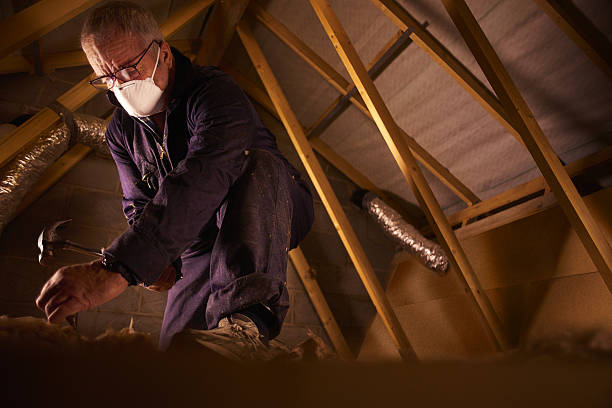 Types of Insulation We Offer in Loch Lomond, VA